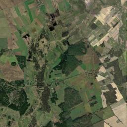 Satelita