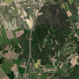 Satelita