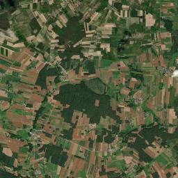 Satelita
