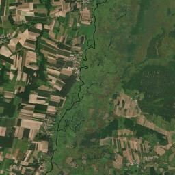 Satelita