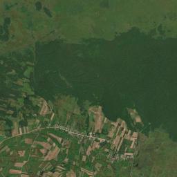 Satelita
