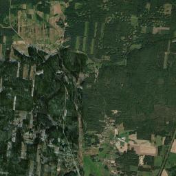 Satelita