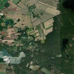 Satelita