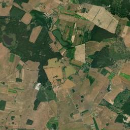 Satelita