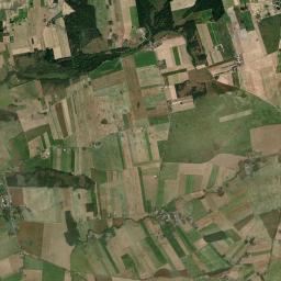 Satelita
