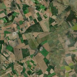 Satelita