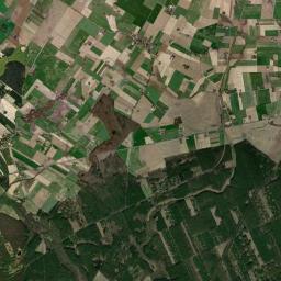 Satelita