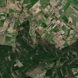 Satelita