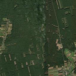 Satelita