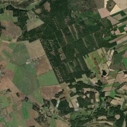 Satelita