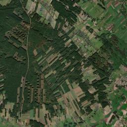 Satelita