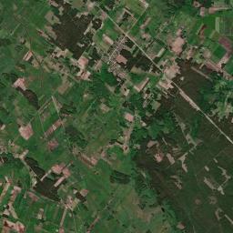 Satelita
