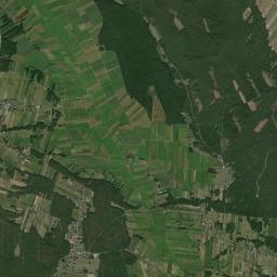 Satelita
