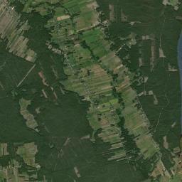 Satelita