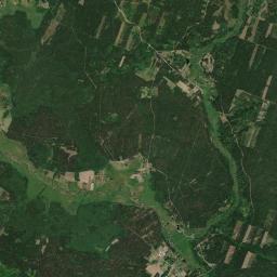Satelita