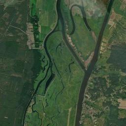 Widuchowa Satellite Map