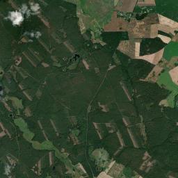 Satelita