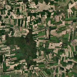 Satelita