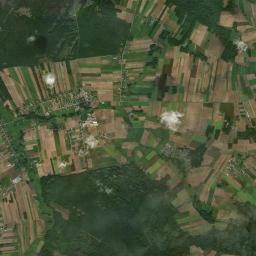 Satelita