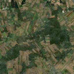 Satelita