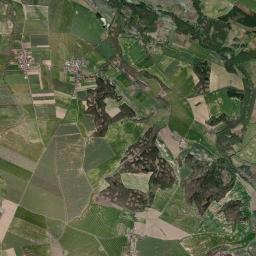 Satelita