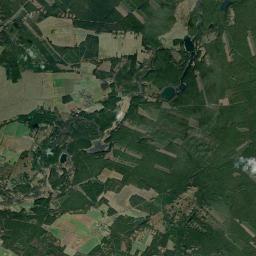 Satelita