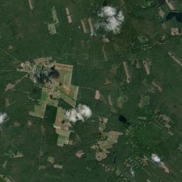 Satelita