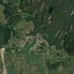 Satelita