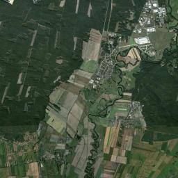 Satelita