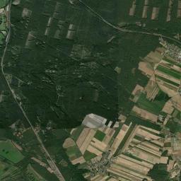 Satelita