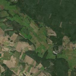 Satelita