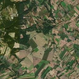 Satelita
