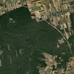 Satelita