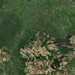 Satelita