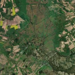 Satelita