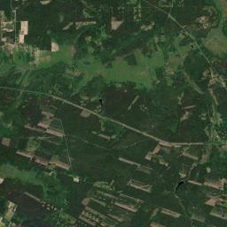 Satelita