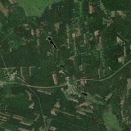 Satelita