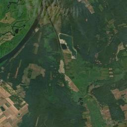 Satelita