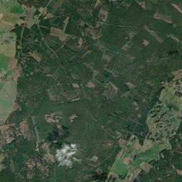 Satelita