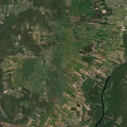 Satelita