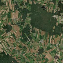 Satelita