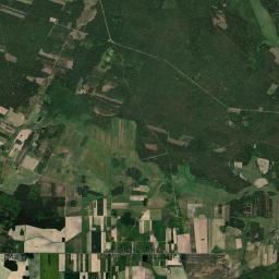 Satelita