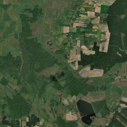 Satelita
