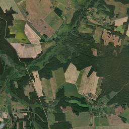 Satelita