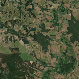 Satelita