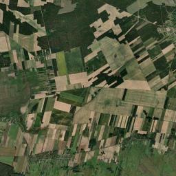 Satelita