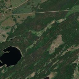 Rebrikhinskiy Rayon Satellite Map