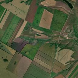 Kalmanskiy Rayon Satellite Map
