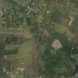 Satelita