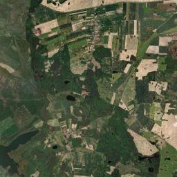Satelita
